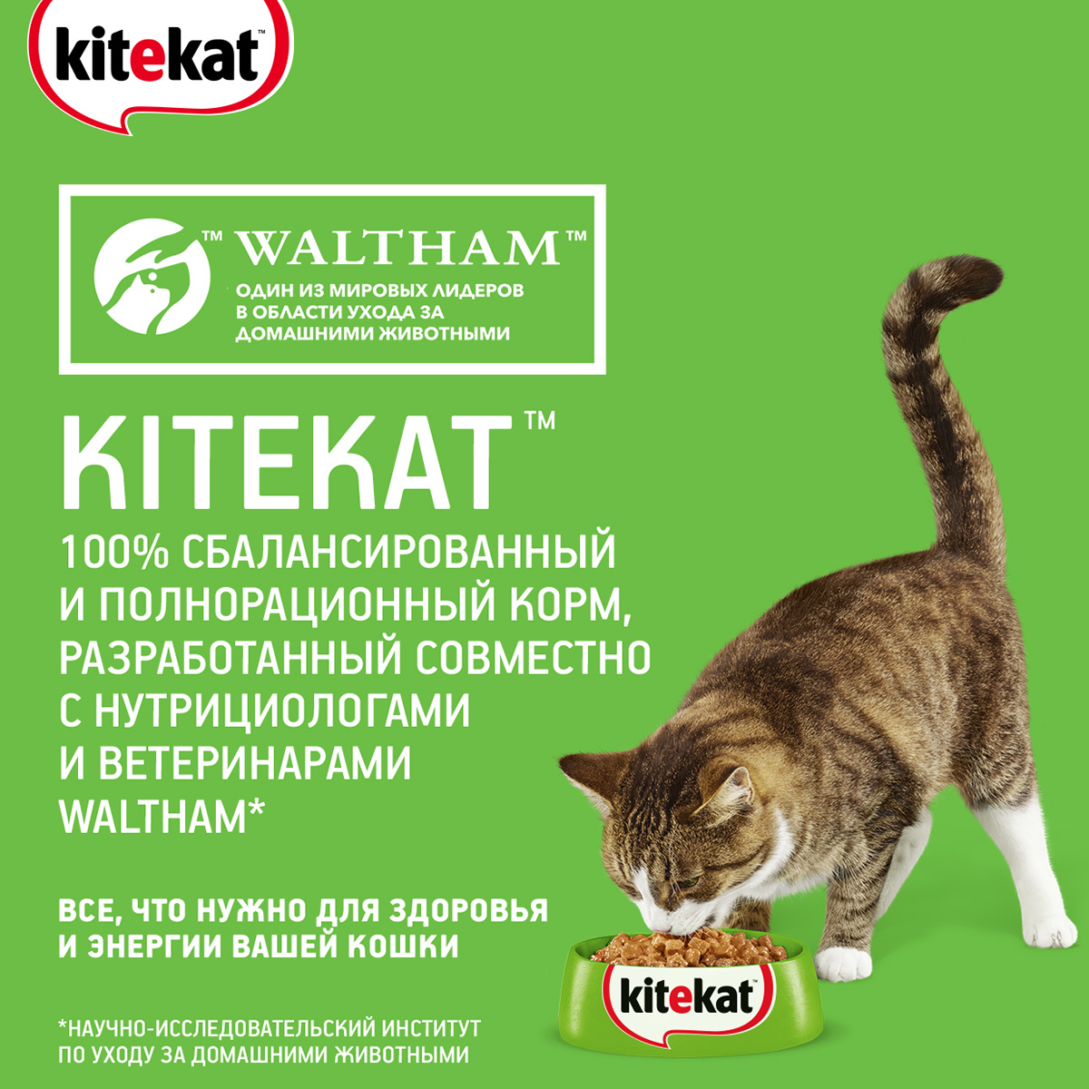 Сухой корм для кошек KITEKAT УЛОВ РЫБАКА (1,9 кг)