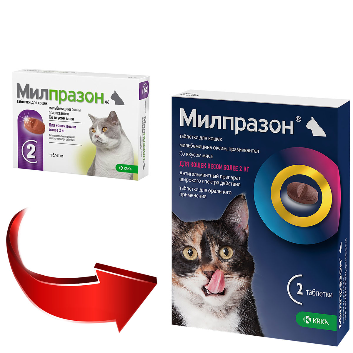 Милпразон для кошек отзывы